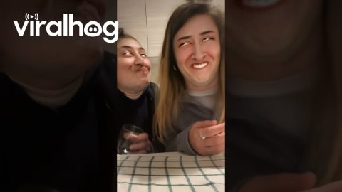 Face-Morphing Filter Causes Epic Spit Takes || ViralHog