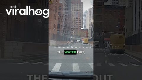 Calling Out a BMW Litterbug || ViralHog