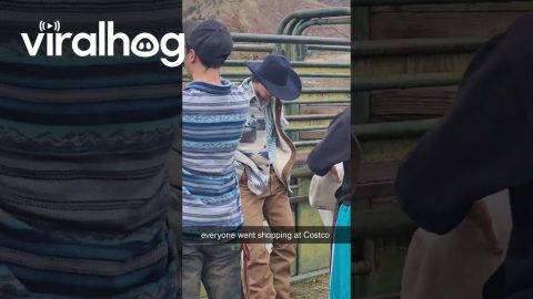 All Cowboys Shop At The Same Store || ViralHog