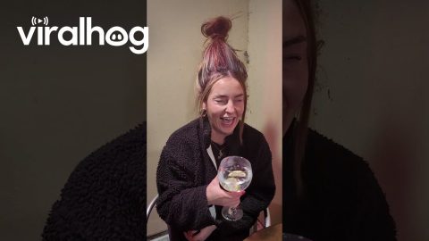 How To Hide A Wine Glass || ViralHog