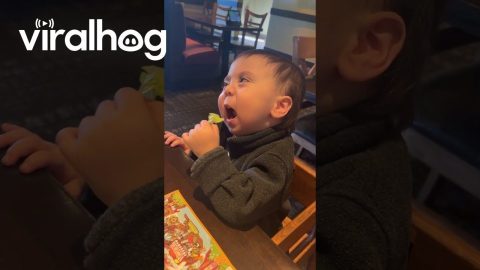 Baby Doesn't Care For Lettuce || ViralHog