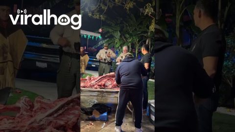 Cooking A Meal For The Cops || ViralHog
