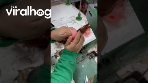 Sewing Hair Onto a Doll's Head || ViralHog