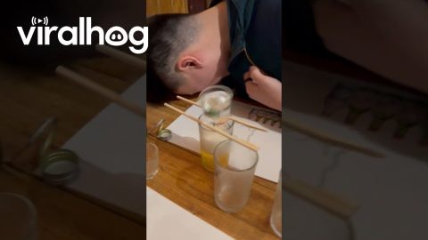 Easy Trick To Enjoy Somaek || ViralHog