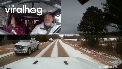 Driver Stays Calm During Unplanned Off-Roading || ViralHog