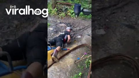 Working With Haste Causes A Tumble || ViralHog