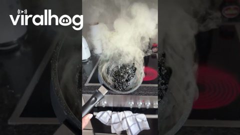 Making Tanghulu The Wrong Way || ViralHog