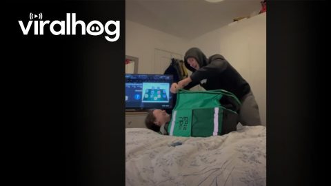 When It's Take Your Girlfriend to Work Day || ViralHog