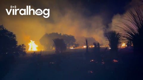 Bushfire On Kangaroo Island || ViralHog
