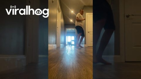 Fluffy Dog Takes a Fall || ViralHog
