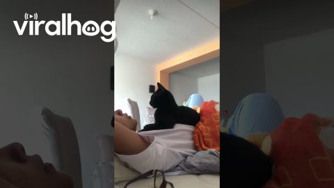 Cat Comforts Crying Owner || ViralHog