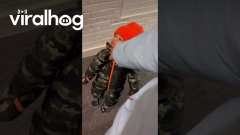 Toddler is Content in Air Jail || ViralHog