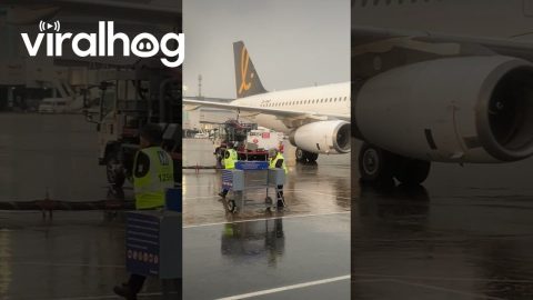 Mopping In The Rain || ViralHog