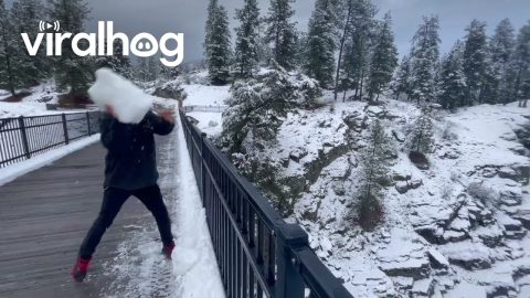 Throwing Snow Onto Icy River || ViralHog
