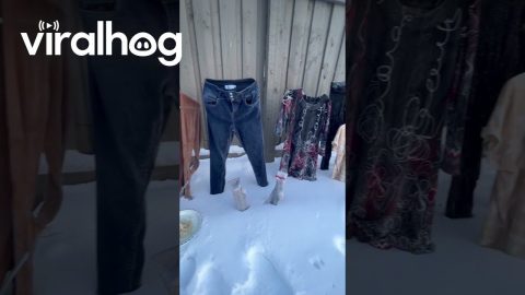 Fun With the Alberta Cold || ViralHog