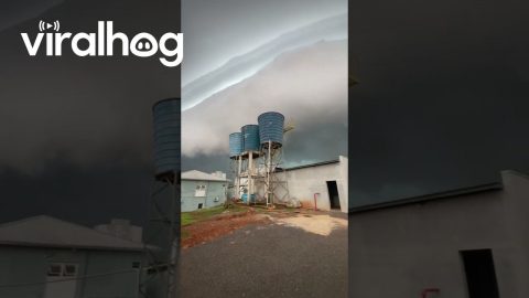 Massive Shelf Cloud Precedes Intense Storm || ViralHog