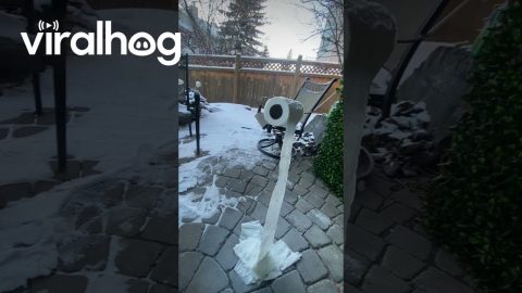 Frozen Toilet Paper Roll Defies Gravity || ViralHog