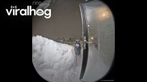Man Groans After Snow Pile Collapses || ViralHog