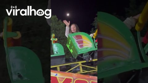 Broken Amusement Park Ride Strands Woman || ViralHog