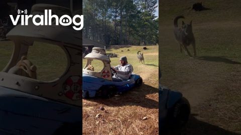 Tugboat on Wheels || ViralHog