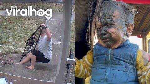 Embarrassing Falls Caught on Camera || ViralHog