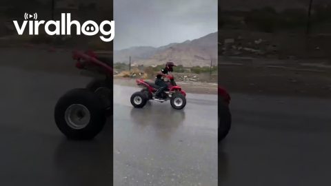 ATV Riders Spin Down Street || ViralHog