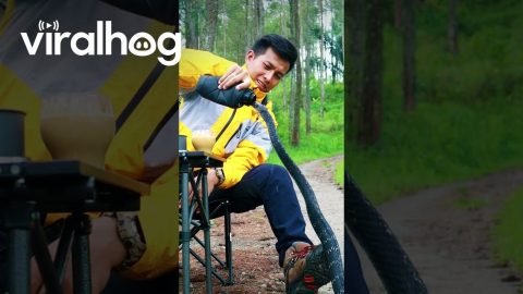 Giving Water to a Snake || ViralHog