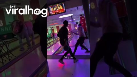 Bowling Ball Breaks Water Pipe || ViralHog