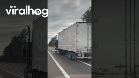 Sausage-Shaped Automobile Gets A Misdewiener || ViralHog