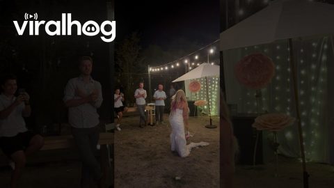 Wedding Bouquet Toss Falls Short and so Does Friend || ViralHog
