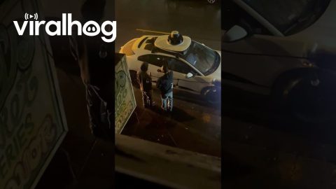 Driverless Car Can't Close Doors || ViralHog