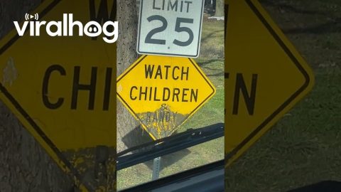 Watch For Children And Randy || ViralHog