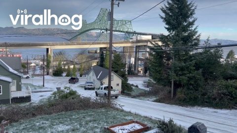 Truck Slides Down Icy Hill || ViralHog