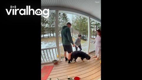 Gagging Over Dog's Froggy Snack || ViralHog