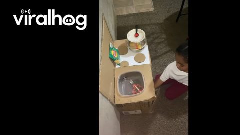 Girl Gets Cookin' in Cardboard Kitchen || ViralHog