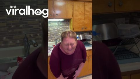 Wife Makes Enough Cookies To Serve A Village || ViralHog