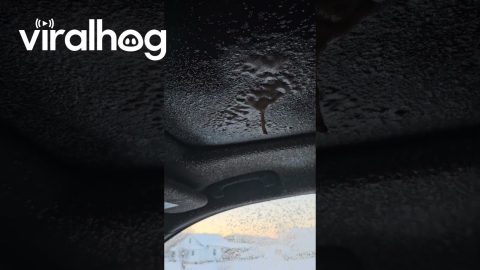 Soda Can Left In Car Exploded In Cold Weather || ViralHog