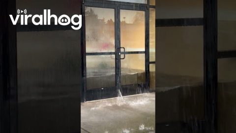Burst Pipe Floods Portland Restaurant || ViralHog