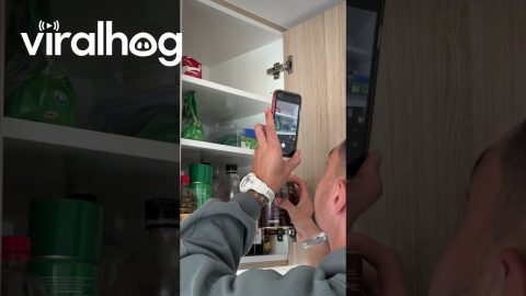 Short Person Hack To See Shelves || ViralHog