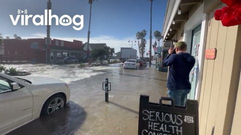 A Rogue Wave At Ventura Beach || ViralHog