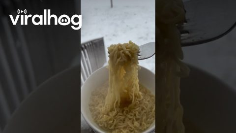 A Wintery Ghost Eats Ramen || ViralHog
