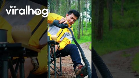 Giving Water to a Snake || ViralHog