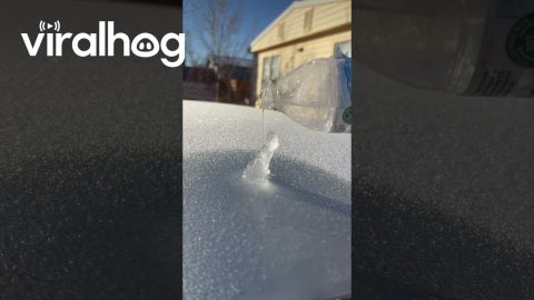 A Cold Morning In Arizona || ViralHog