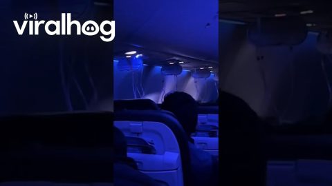 Plane Makes Emergency Landing After Losing Window || ViralHog