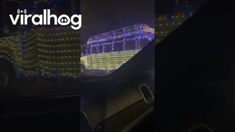 Festive Bus Takes Holiday Spirit to the Streets || ViralHog