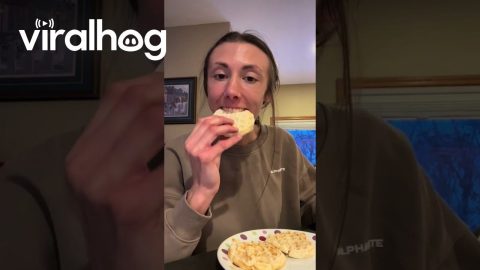 Waffles Cooked Medium Rare || ViralHog