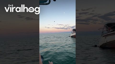 Grapes and Boats in Key West || ViralHog