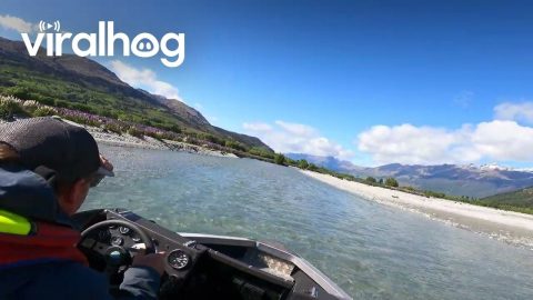 Zipping Through A Shallow River || ViralHog
