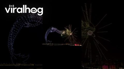 New Years Drone Show In Busan || ViralHog