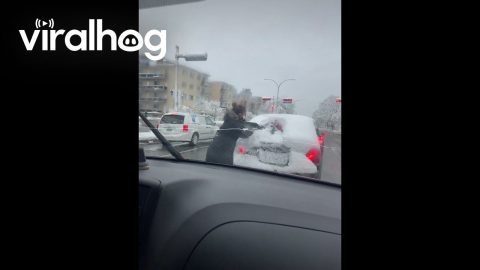 Cleaning Snow Off Stranger's Back Window || ViralHog